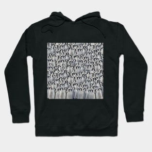 Baby Emperor penguins mask Hoodie